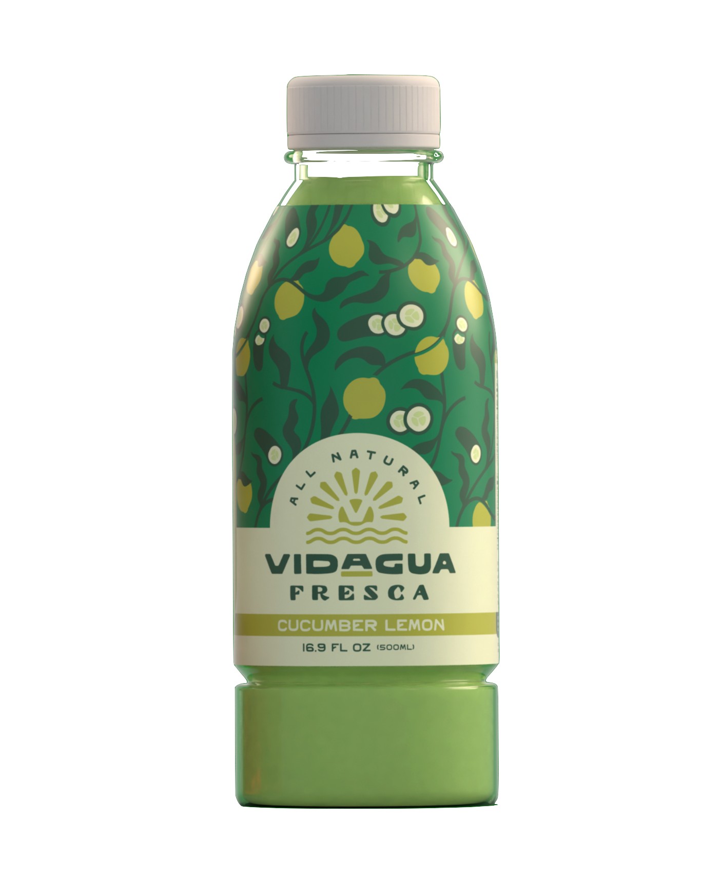 Vidagua Cucumber Lemon Bottle