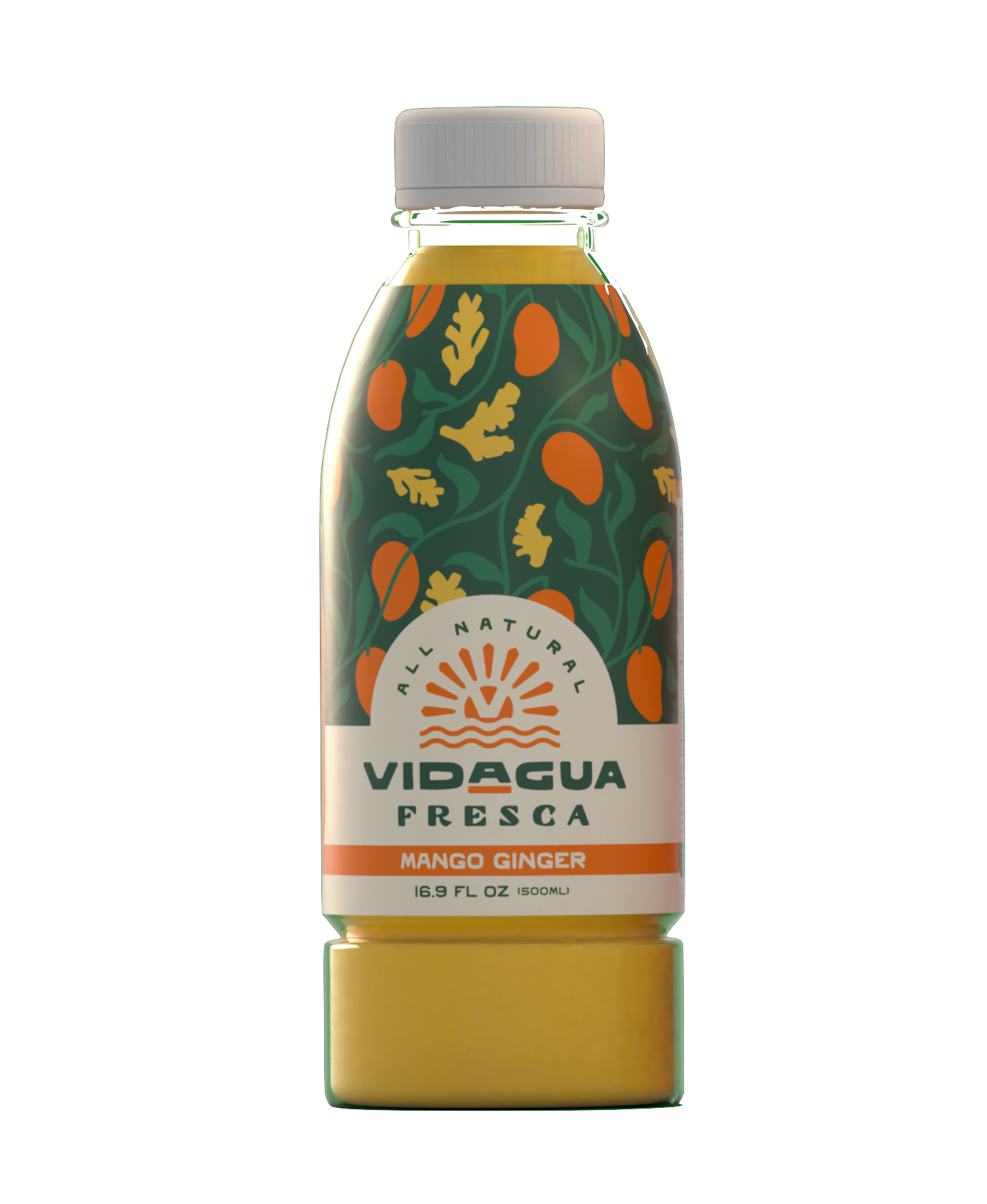 Vidagua Mango Ginger Bottle