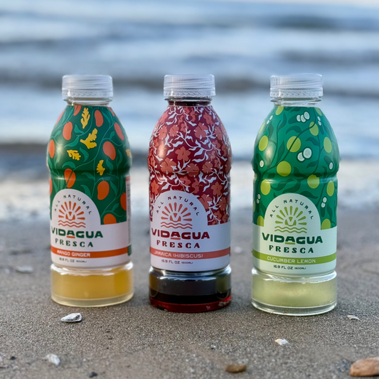 Vidagua Mixed Pack (6-Pack)